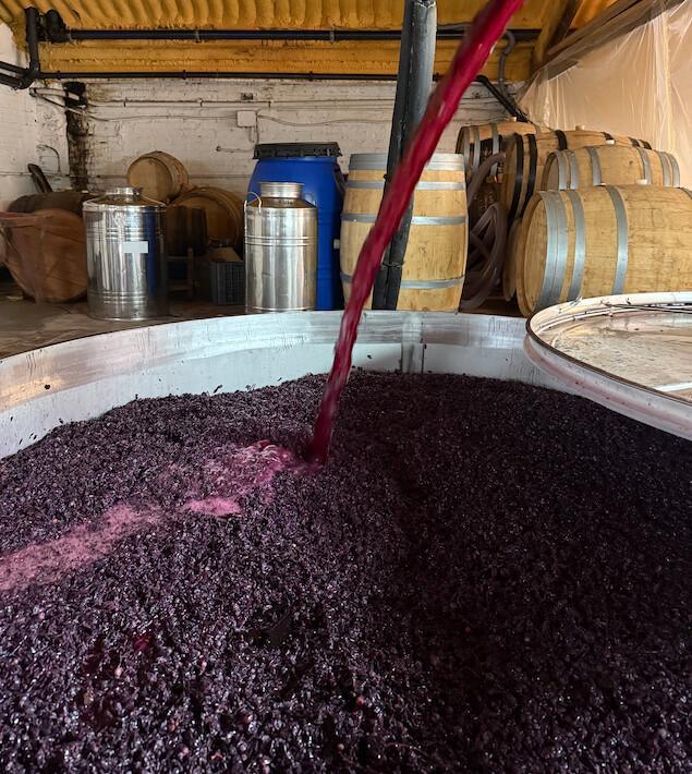 🍇 La Coopérative d’El Molar. Un produit de circuit court 🍇 La Coopérative d’El Molar. Un produit de circuit court