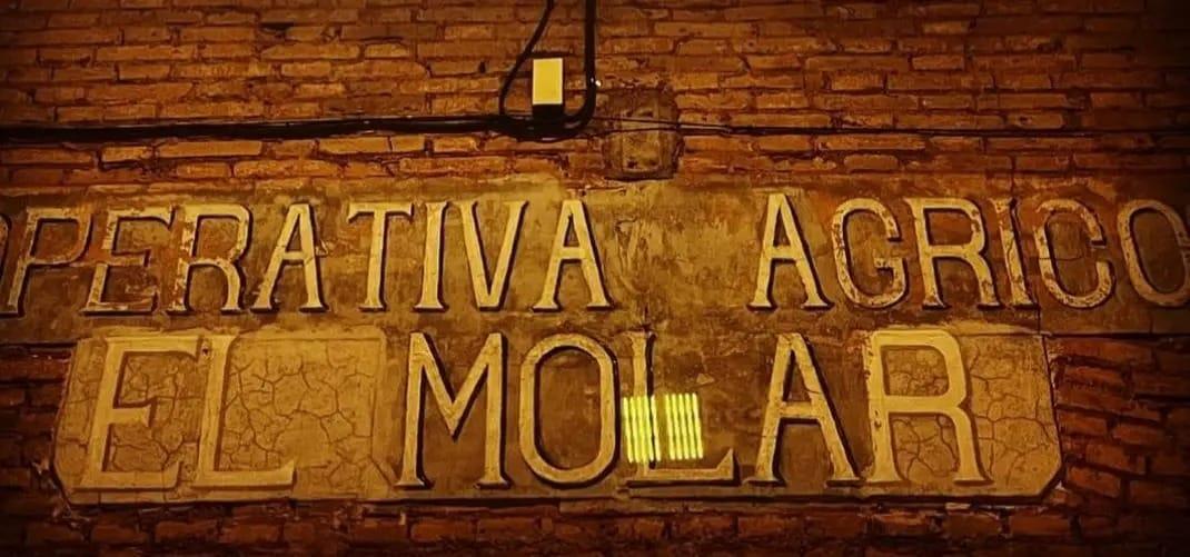🍇 La Coopérative d’El Molar. Un produit de circuit court