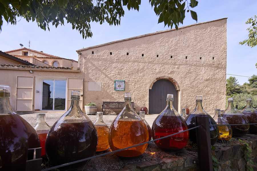 🍇 Costers del Priorat : Une expérience inoubliable dans une ancienne chartreuse