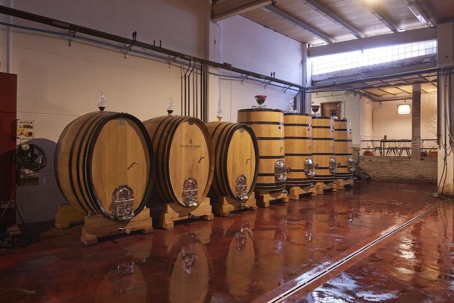 🍇 Costers del Priorat : Une expérience inoubliable dans une ancienne chartreuse