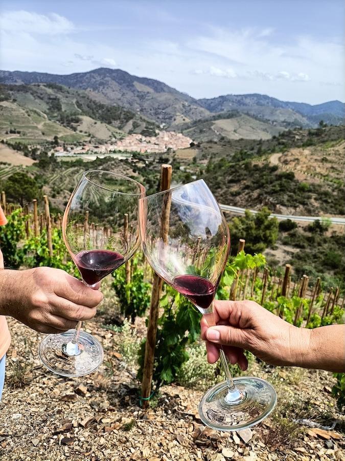🍇 Alicia i Josep Viticulteurs : des vins de caractère en DOQ Priorat 🍇 Alicia i Josep Viticulteurs : des vins de caractère en DOQ Priorat