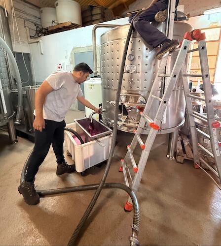 🍇 Orto Vins. Vivez la magie du Priorat dans chaque verre