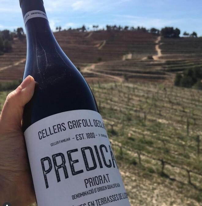 🍇 Grifoll Declara. Une famille de 5 générations dédiée au vin 🍇 Grifoll Declara. Une famille de 5 générations dédiée au vin