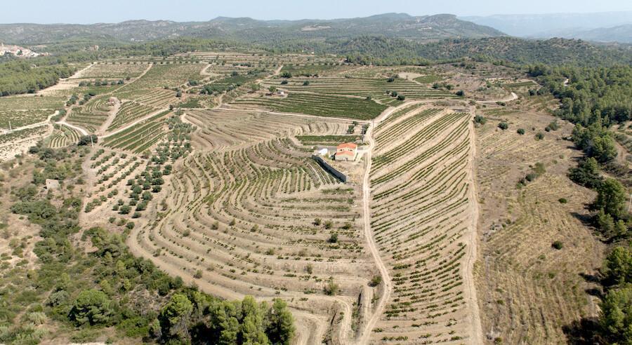 🍇 Grifoll Declara. Une famille de 5 générations dédiée au vin 🍇 Grifoll Declara. Une famille de 5 générations dédiée au vin