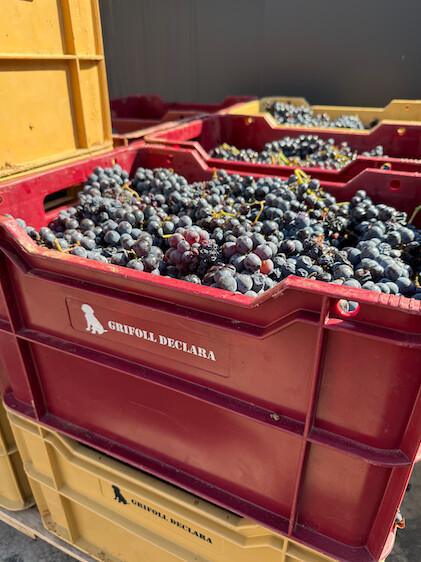 🍇 Grifoll Declara. Une famille de 5 générations dédiée au vin 🍇 Grifoll Declara. Une famille de 5 générations dédiée au vin
