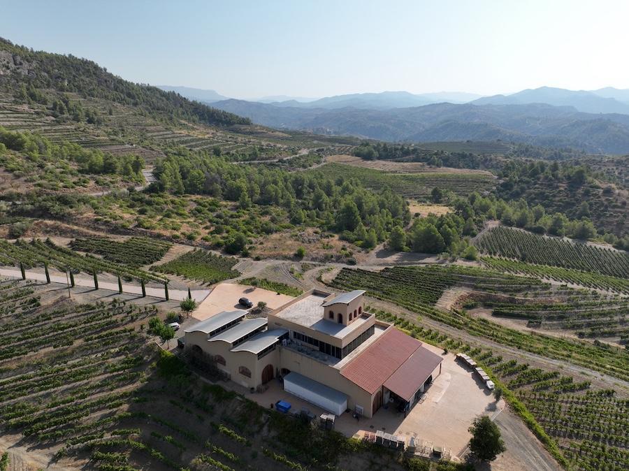 🍇 Cal Grau, una aventura que se hermana con Ribera del Duero, Toro y La Rioja.