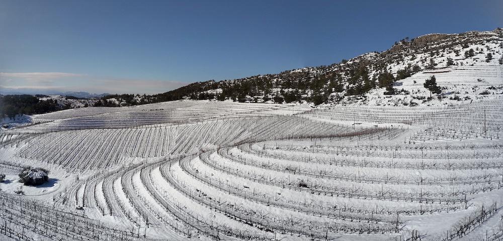 🍇 Cal Grau, una aventura que se hermana con Ribera del Duero, Toro y La Rioja. 🍇 Cal Grau, una aventura que se hermana con Ribera del Duero, Toro y La Rioja.