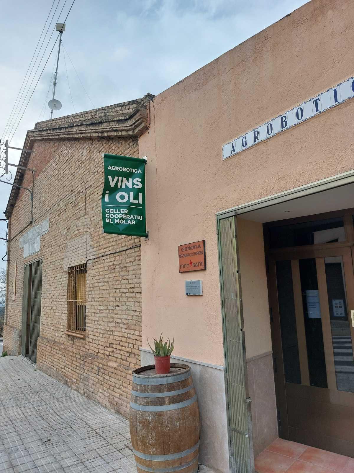 🍇 La Cooperativa de El Molar. Producto de kilómetro cero