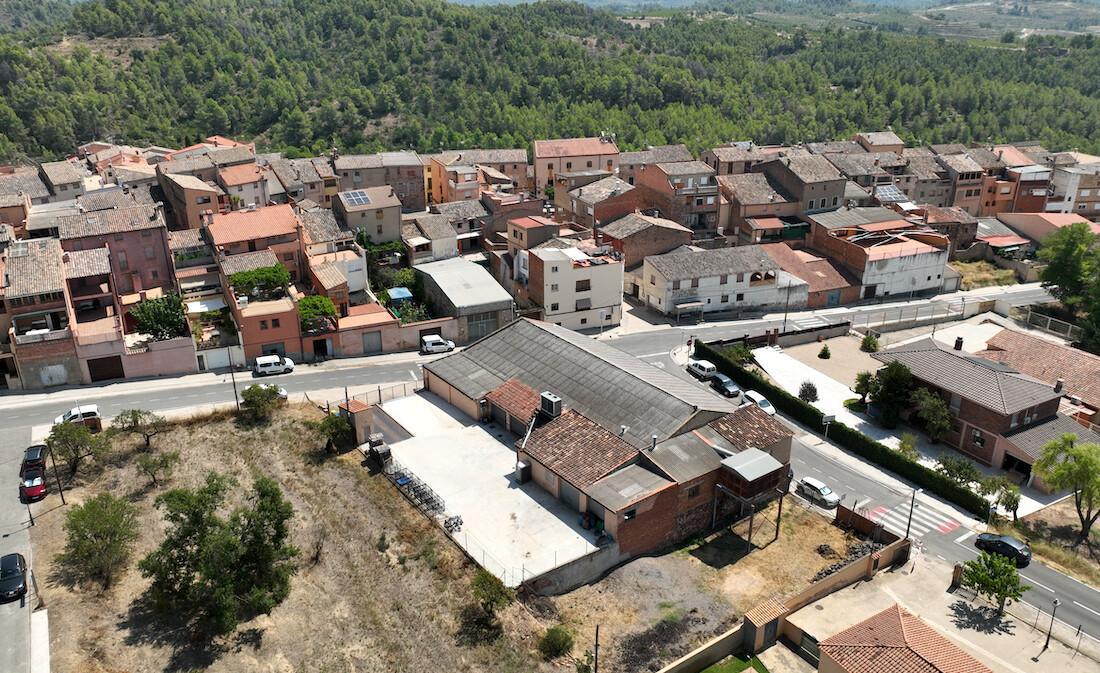 🍇 La Cooperativa de El Molar. Producto de kilómetro cero