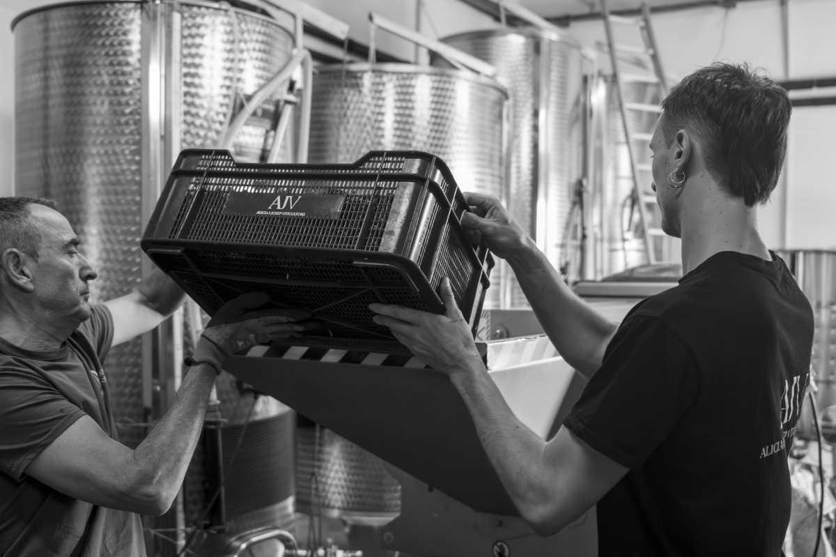 🍇 Alicia i Josep Viticultors: vinos con carácter D.O.Q. Priorat