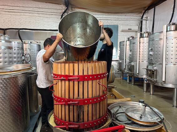 🍇 Orto Vins. Vive la magia del Priorat en cada copa