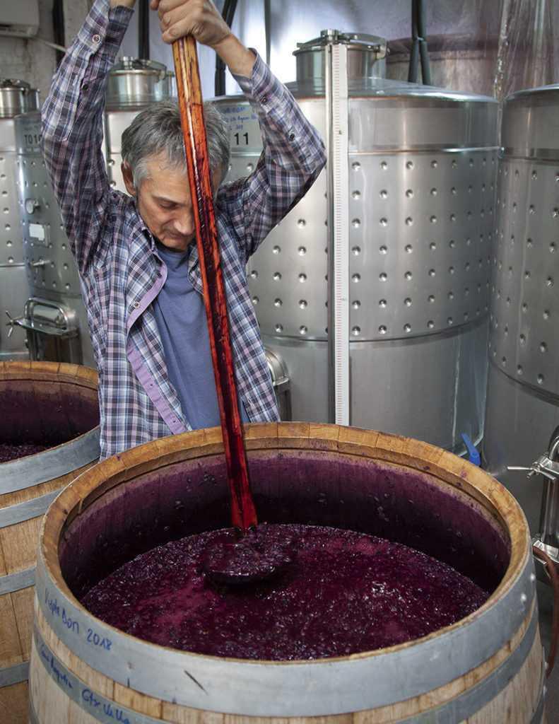 🍇 Orto Vins. Vive la magia del Priorat en cada copa