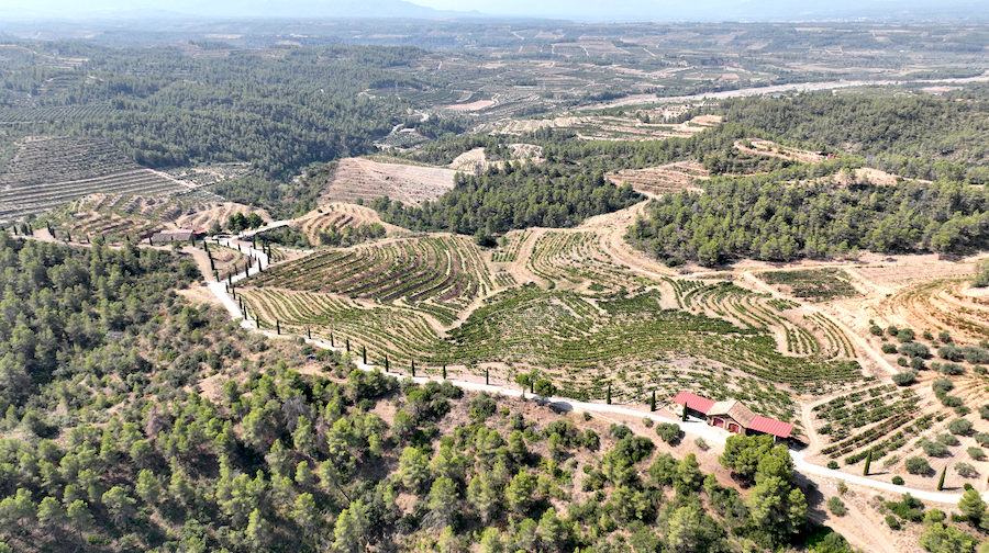 Paisaje aéreo de la zona