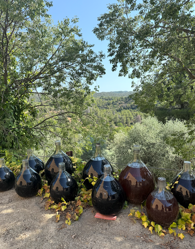 Vino rancio en proceso