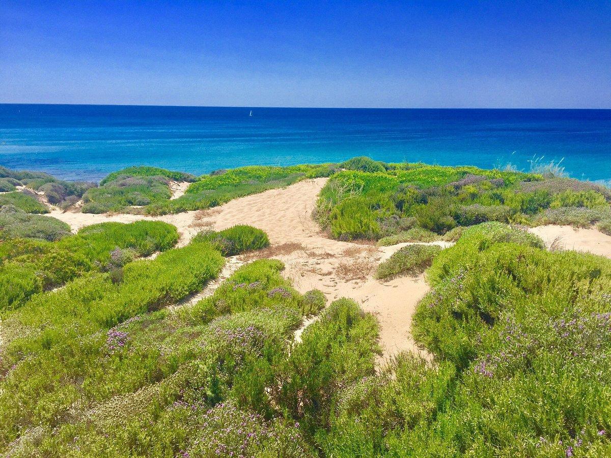 Dune della costa di Maruggio - Dunes of the Coast of Maruggio