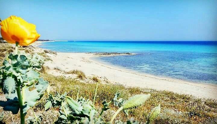 Spiaggia della Madonnina - Madonnina Beach