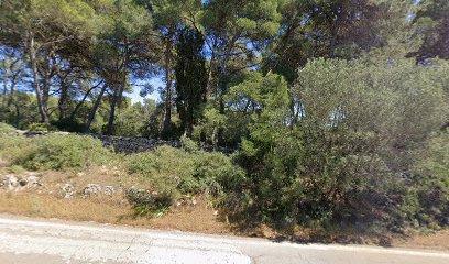 Bosco di Sferracavalli - Sferracavalli Forest