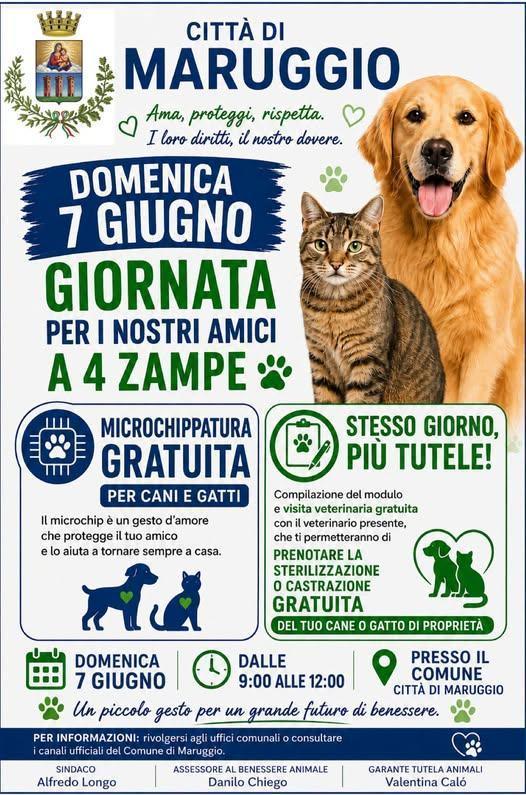 Giornata per i nostri amici a 4 zampe (Dalle 9.00 alle 12.00)