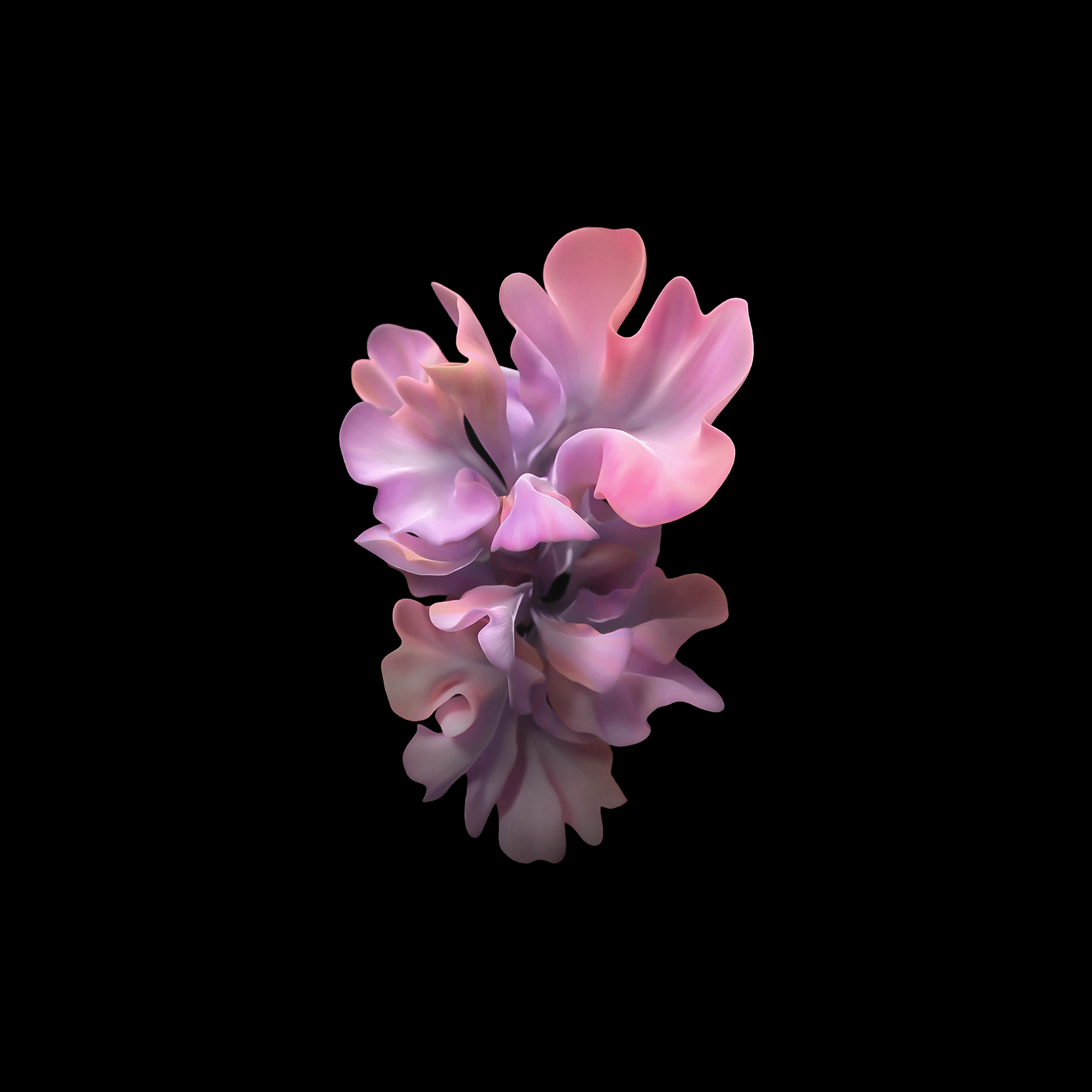 Samsung_Galaxy_Z_Flip_Stock_walls_by_AREA39-X~1