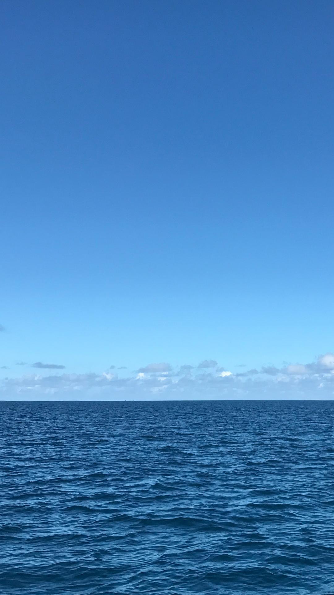 Huawei_V8_stock_Wallpapers_by_AREA39-X~04