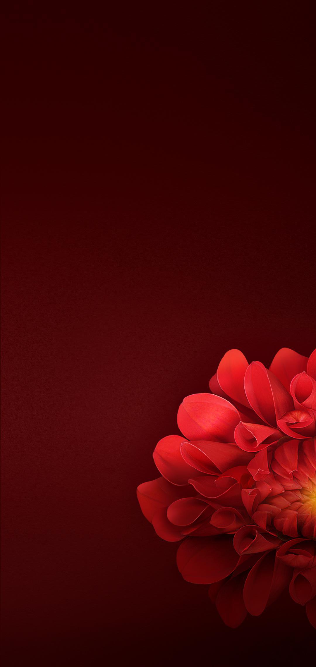 Oppo_R15_stock_Wallpapers_by_AREA39-X~07