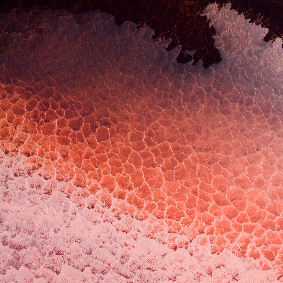 Nokia_1_Plus_Stock_Wallpapers_by_AREA39-X