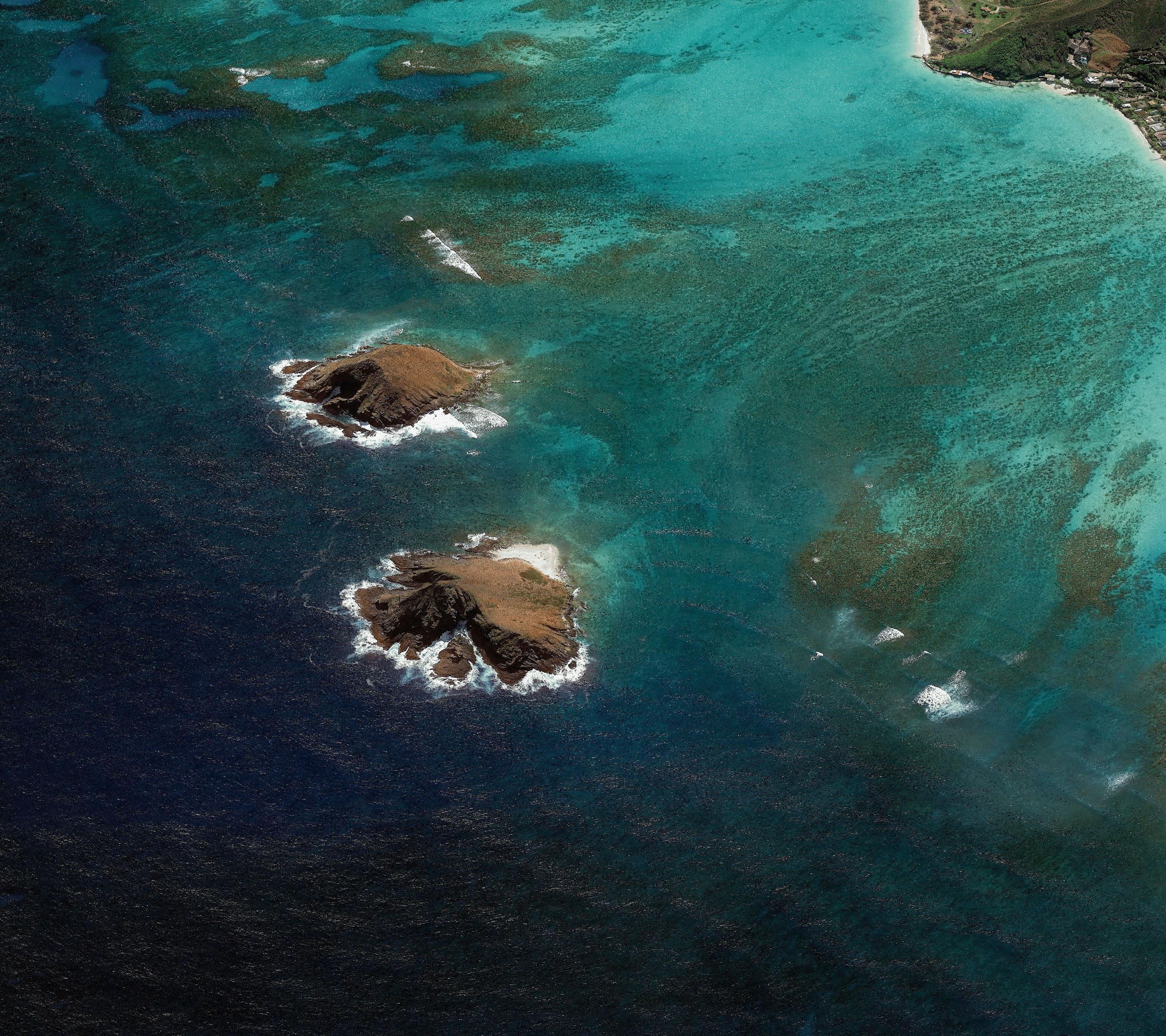 Android Oreo wallpapers (2)