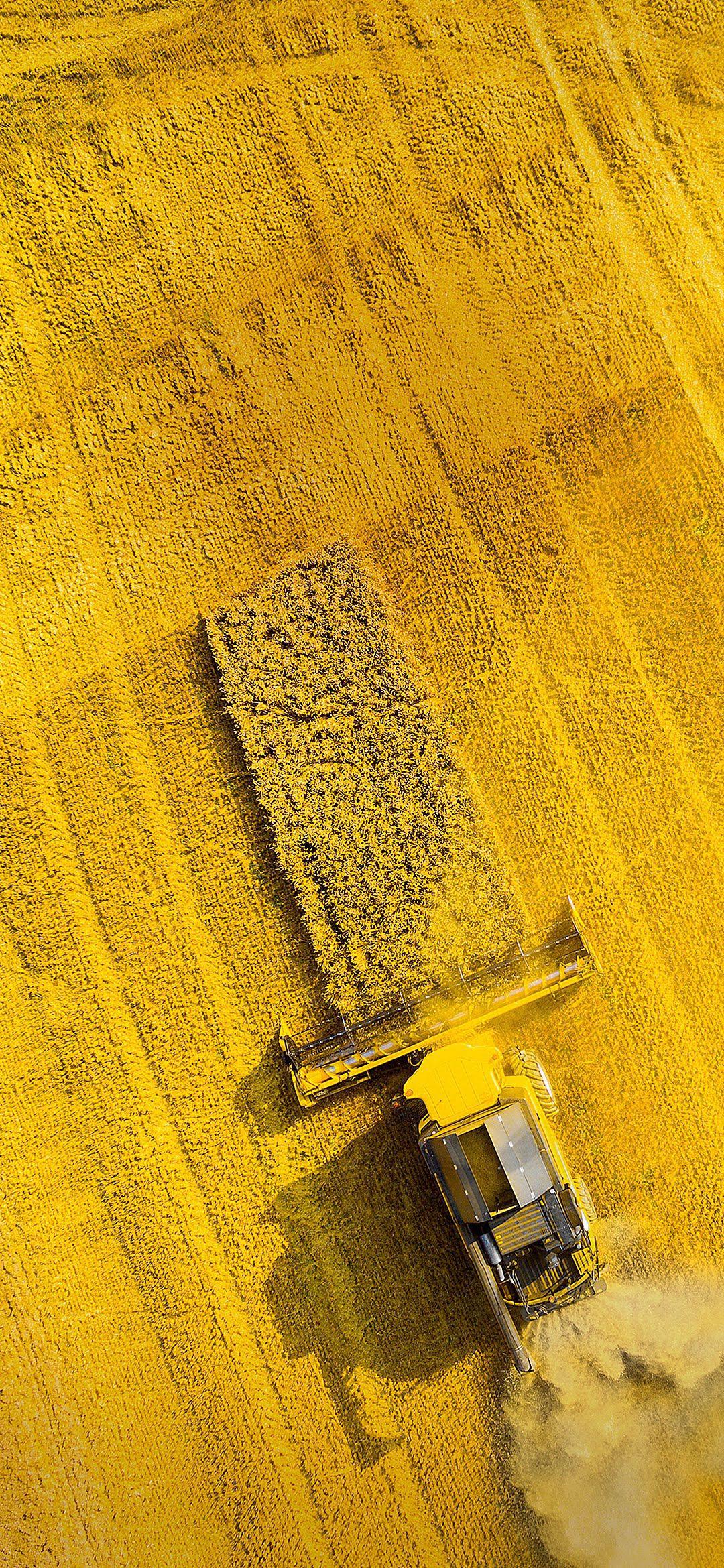 Asus_Zenfone_6_2019_Stock_Wallpapers_by_AREA39-X~05