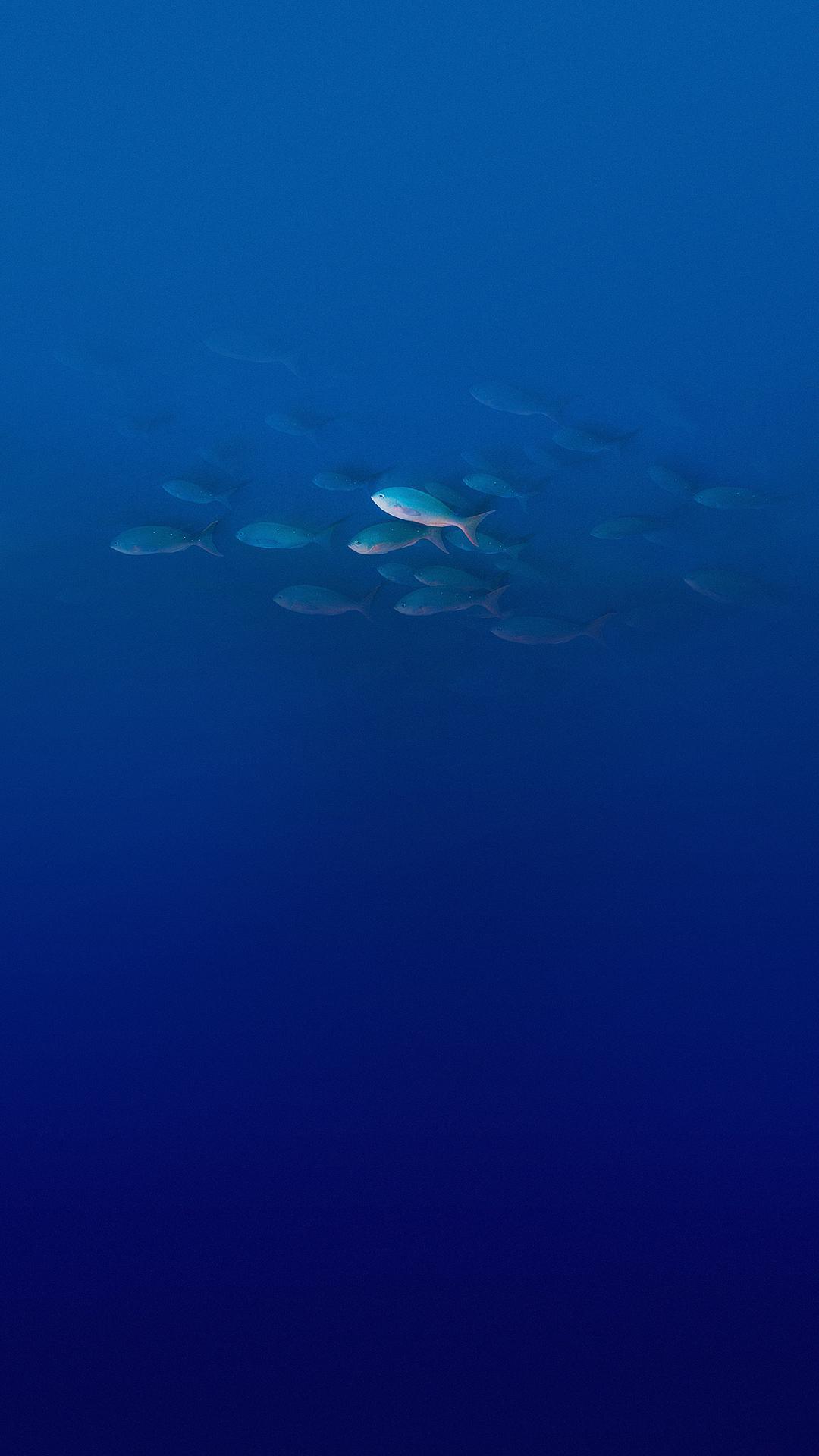 ELEPHONE_P9000_E_Stock_Wallpapers_by_AREA39-X~12