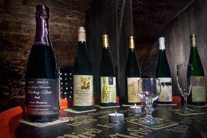 Rainer Kollmann Rainer Kollmann