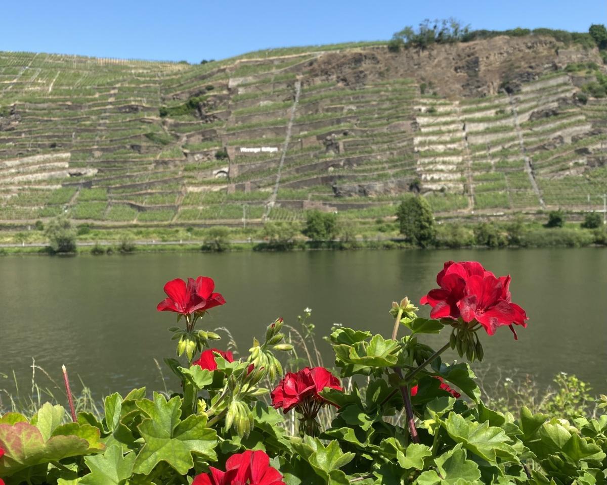 Obst- und Gartenbauverein Lay Obst- und Gartenbauverein Lay