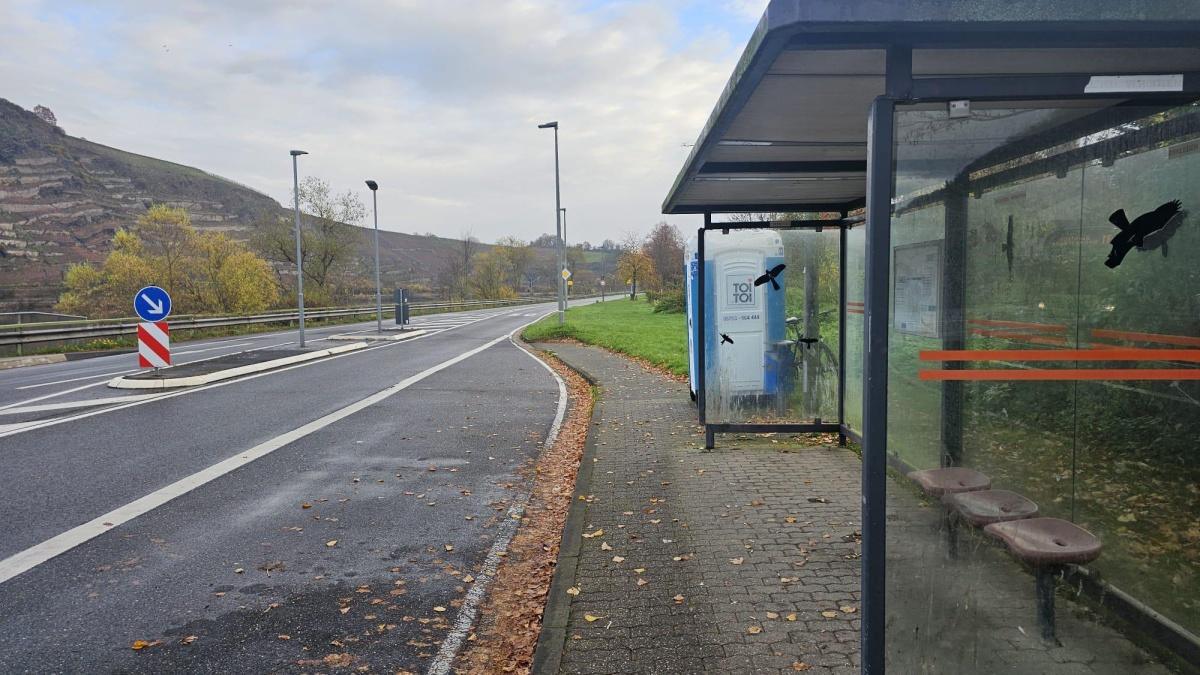 Ortsbeirat möchte Gehweg an der Mosel
