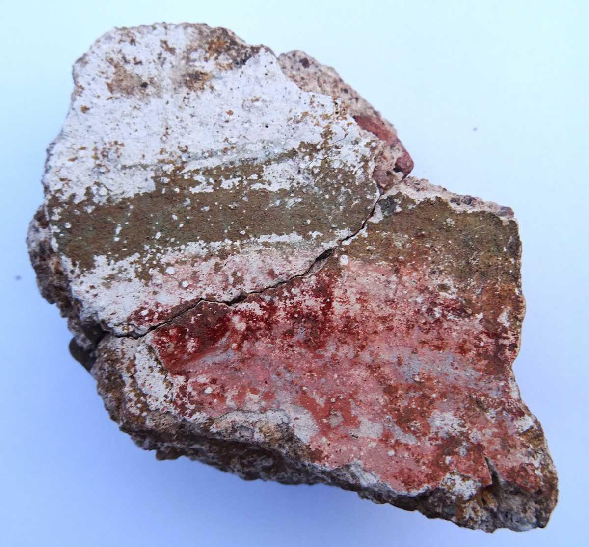 40 Jahre Ausgrabungen am Schwedenpfad - Verlauf einer historischen Erfolgsgeschichte -