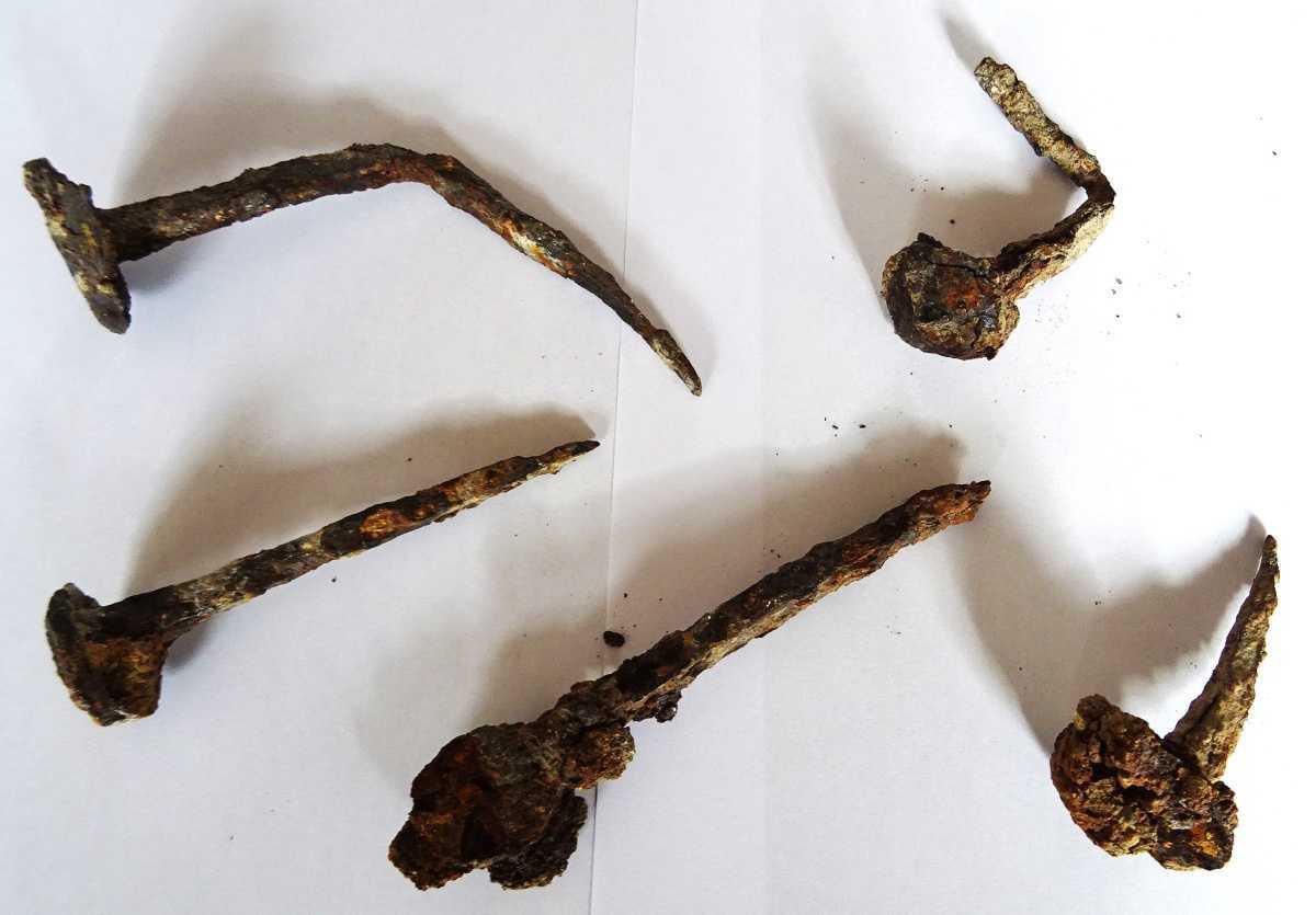 40 Jahre Ausgrabungen am Schwedenpfad - Verlauf einer historischen Erfolgsgeschichte -