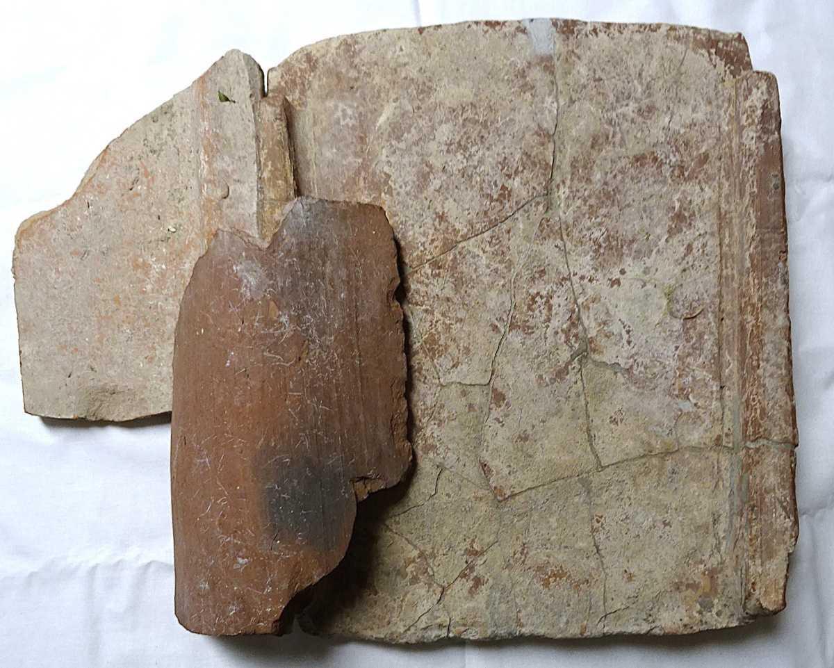 40 Jahre Ausgrabungen am Schwedenpfad - Verlauf einer historischen Erfolgsgeschichte - 40 Jahre Ausgrabungen am Schwedenpfad - Verlauf einer historischen Erfolgsgeschichte -