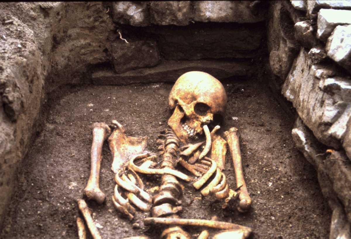 40 Jahre Ausgrabungen am Schwedenpfad - Verlauf einer historischen Erfolgsgeschichte - 40 Jahre Ausgrabungen am Schwedenpfad - Verlauf einer historischen Erfolgsgeschichte -