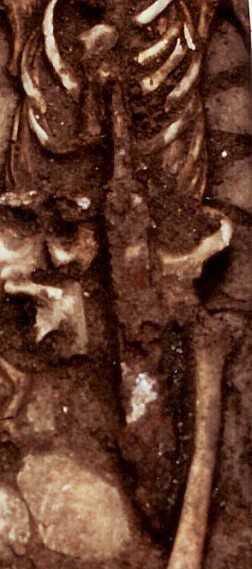 40 Jahre Ausgrabungen am Schwedenpfad - Verlauf einer historischen Erfolgsgeschichte -