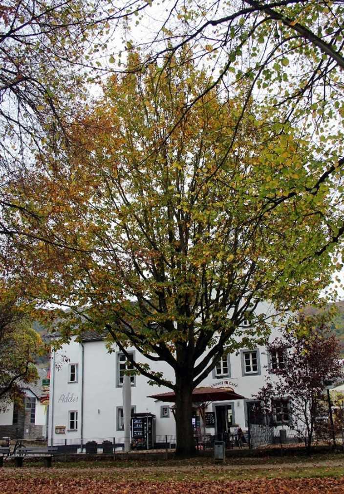 „Presented to the Village of Koblenz-Lay …“ „Presented to the Village of Koblenz-Lay …“