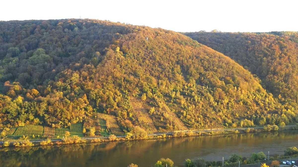 Weinbau in Lay, eine Momentaufnahme aus dem Jahr 1990
