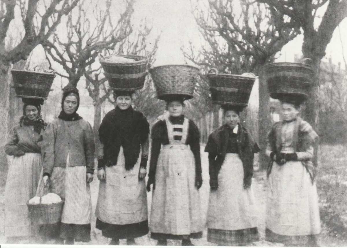 Ein Layer gründete die „Königsbacher“