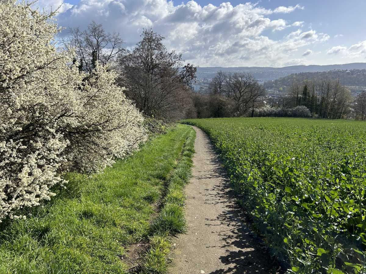 Der TSV wandert am 12.04. Der TSV wandert am 12.04.