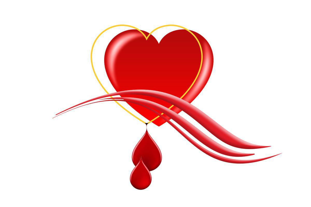 EHRUNG DER DRK-BLUTSPENDENDEN EHRUNG DER DRK-BLUTSPENDENDEN