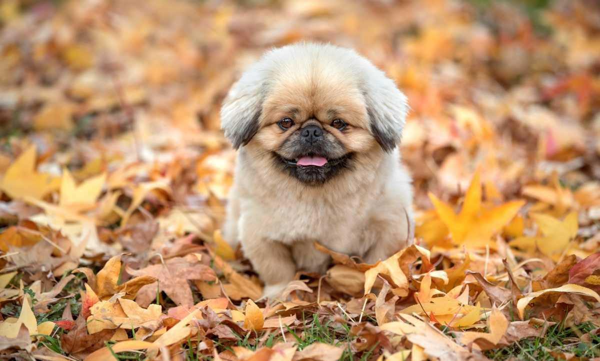 Mein Herbstfoto