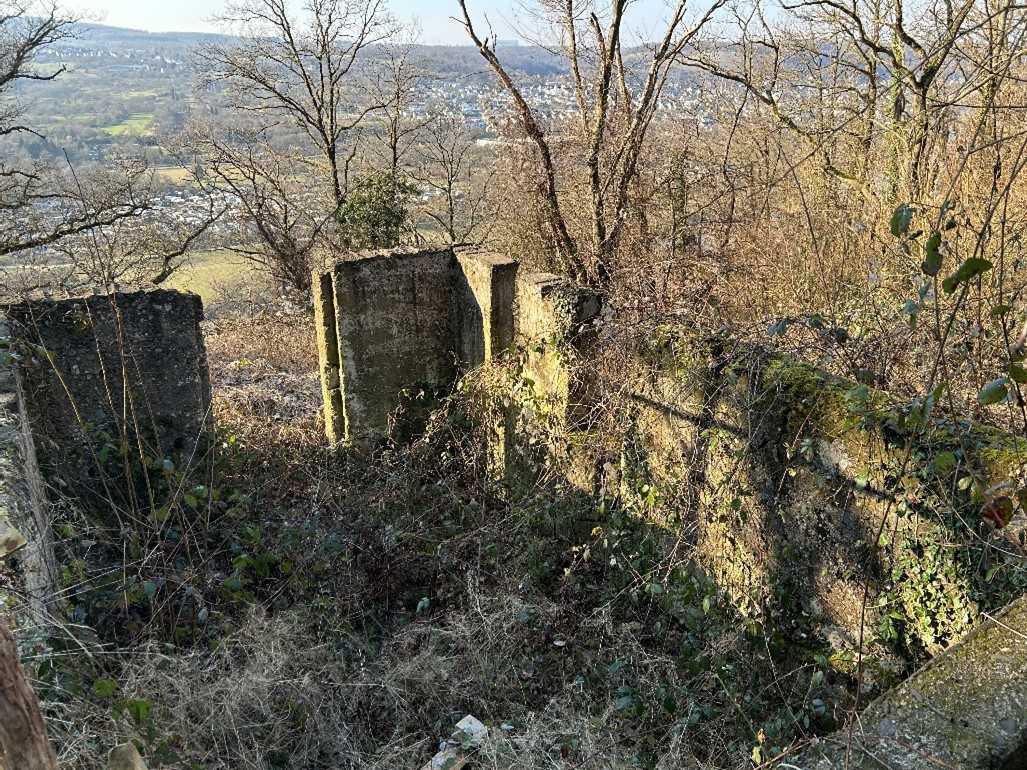 Die „Juliahöhe“ - Waldbewohner als Bürger von Lay Die „Juliahöhe“ - Waldbewohner als Bürger von Lay