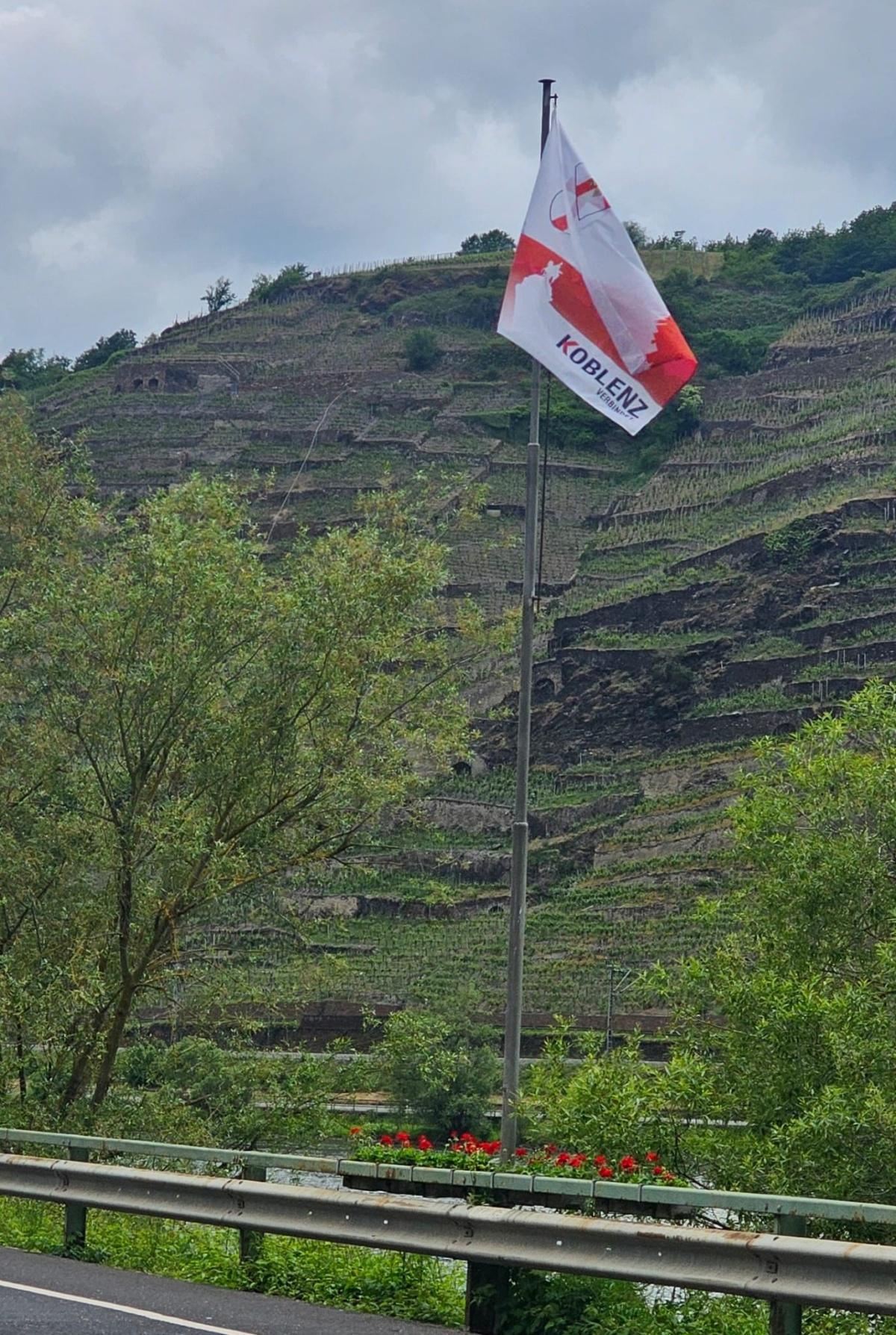 Neue Moseluferbepflanzung in Lay