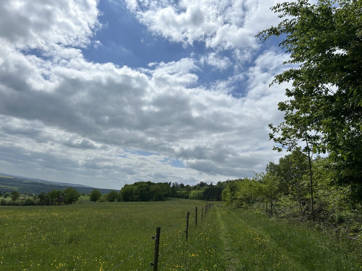 Die nächste TSV-Wanderung findet am 21.06.2026 statt! Die nächste TSV-Wanderung findet am 21.06.2026 statt!