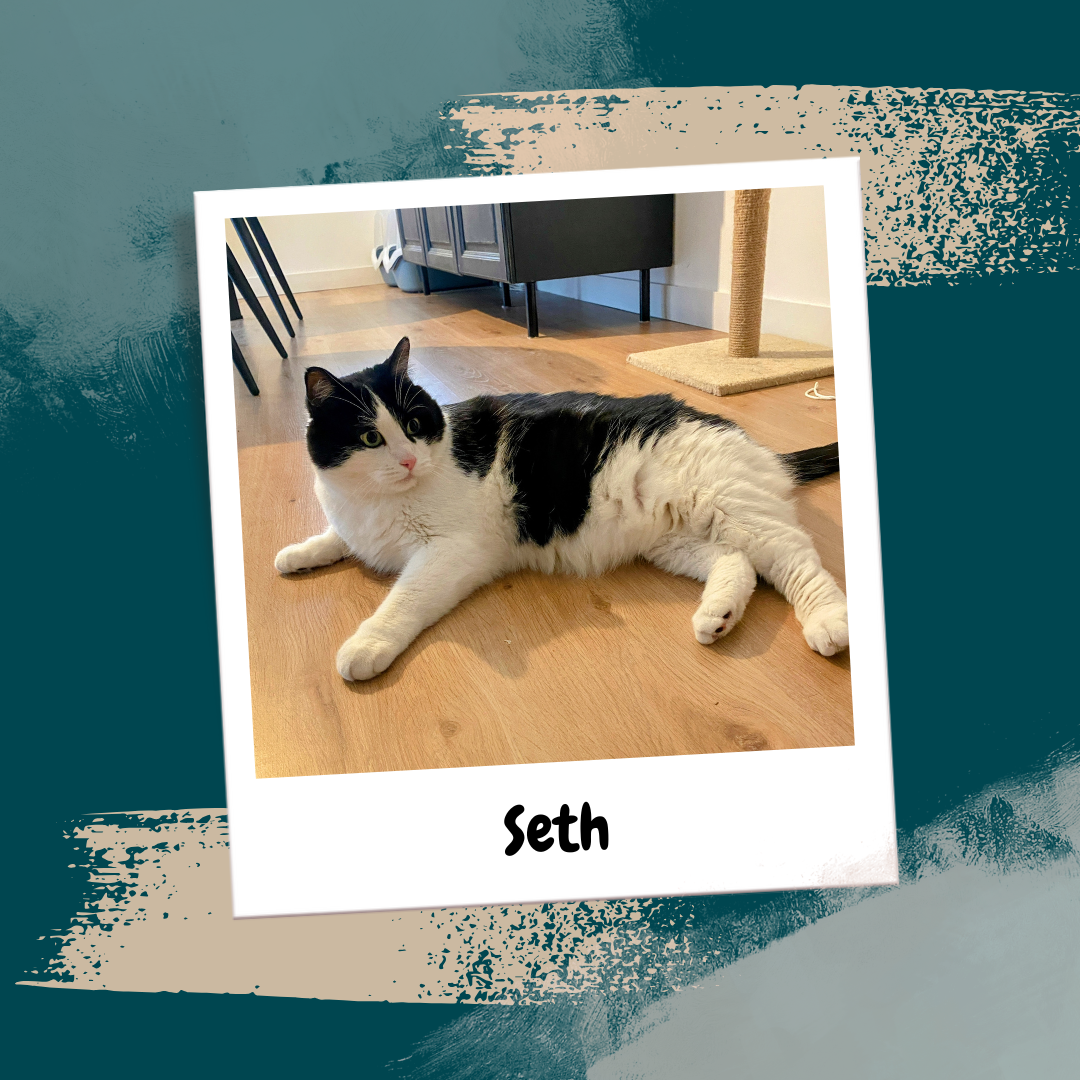 Beige Aesthetic Feminine Lifestyle Polaroid Photo Frame Instagram Post (33)