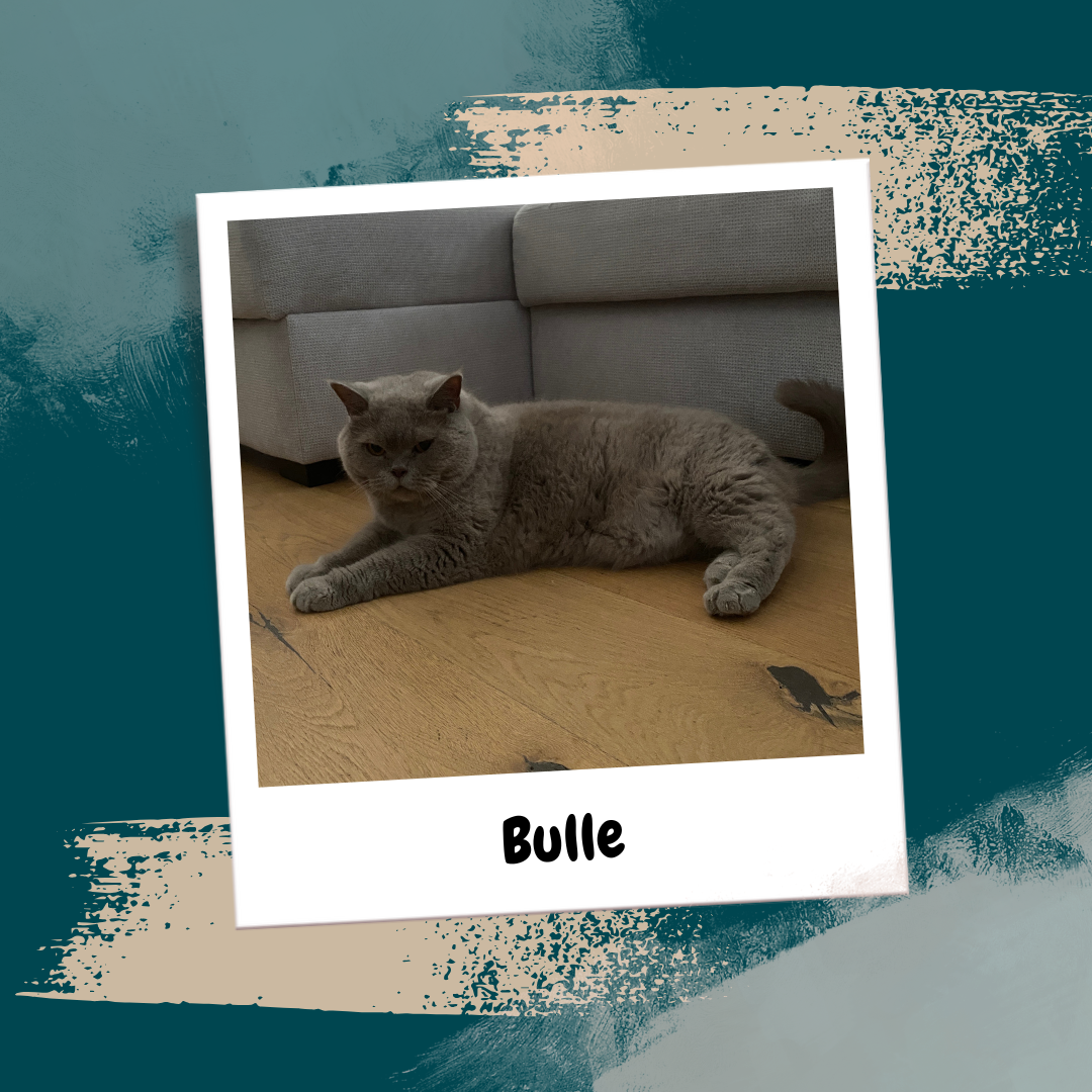 Beige Aesthetic Feminine Lifestyle Polaroid Photo Frame Instagram Post (34)