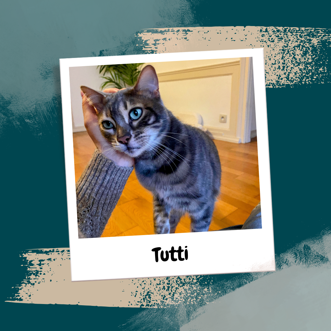 Beige Aesthetic Feminine Lifestyle Polaroid Photo Frame Instagram Post (28)