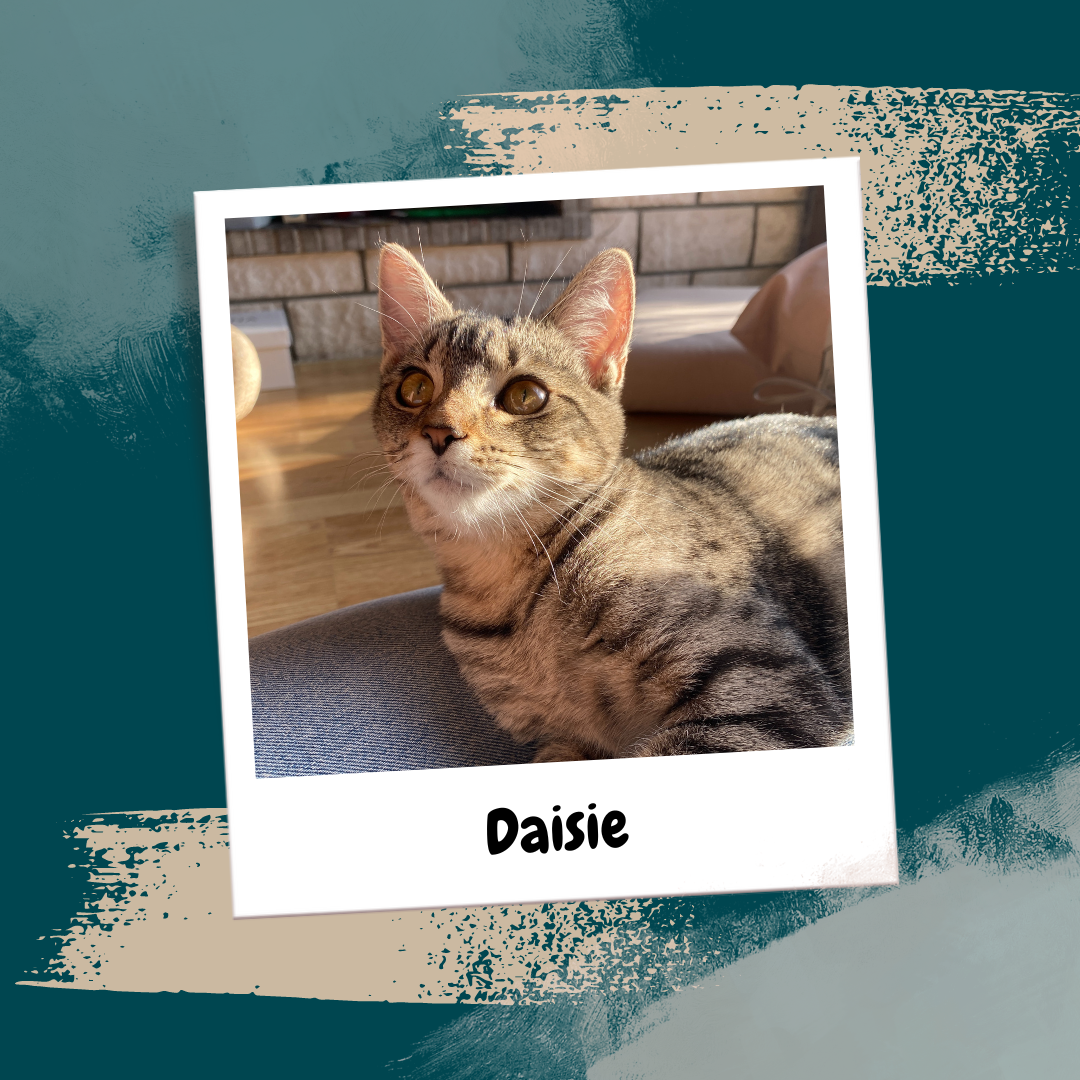 Beige Aesthetic Feminine Lifestyle Polaroid Photo Frame Instagram Post (21)